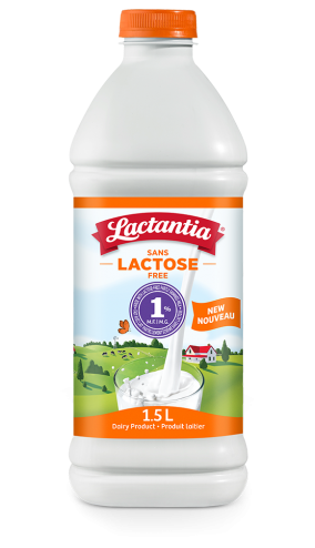 Lactantia Lactose Free Milk 1pc - DLM Distributors